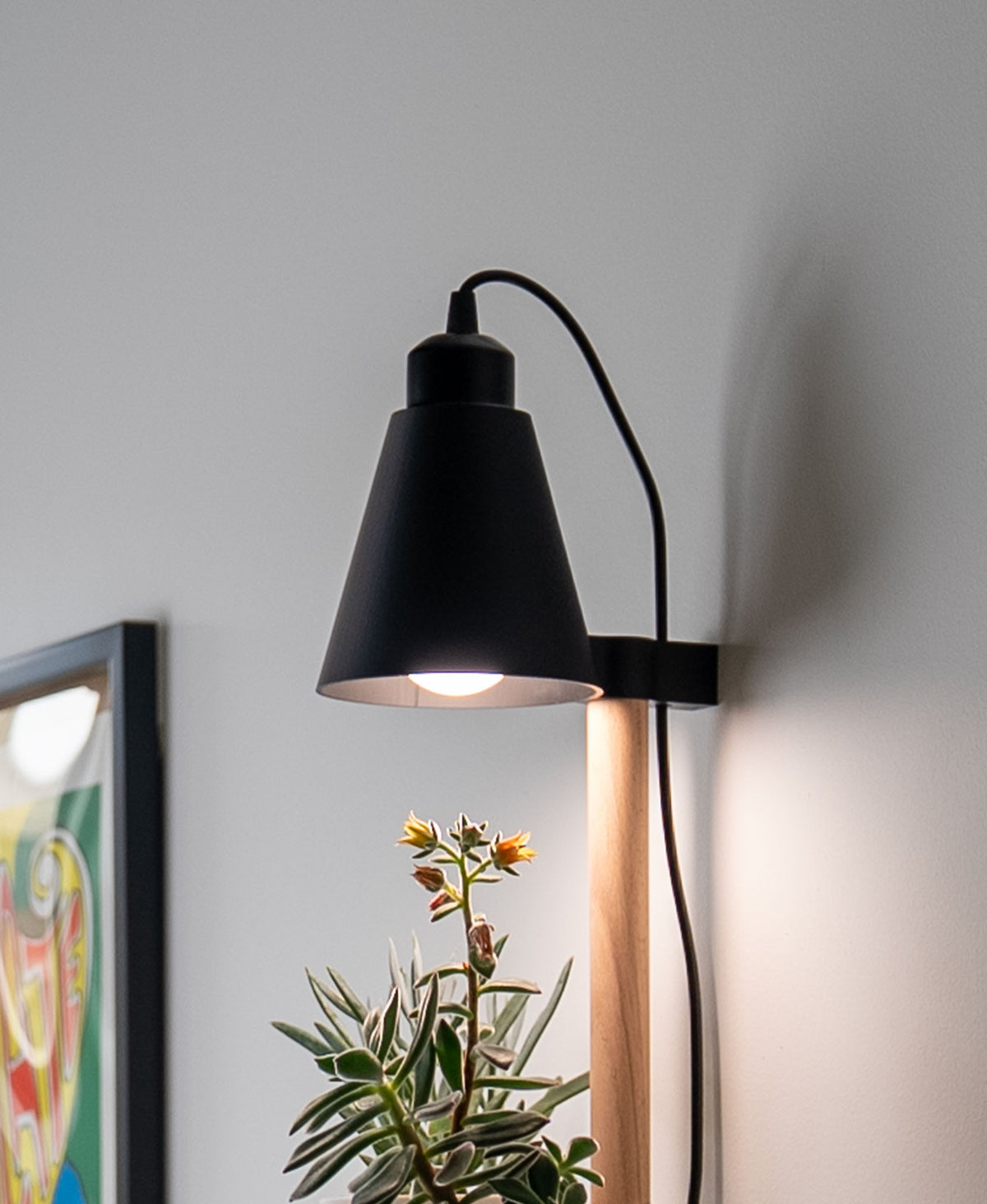 Lampe de culture KLYBA clipsée sur le rail au-dessus d'une plante